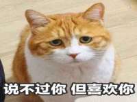 北京万梧科技有限公司