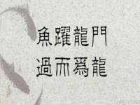 北京万梧科技有限公司