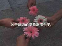 北京万梧科技有限公司