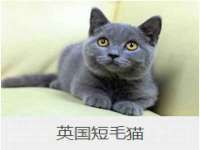 北京万梧科技有限公司