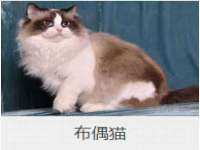 北京万梧科技有限公司