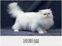 北京万梧科技有限公司