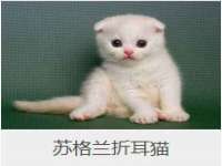 北京万梧科技有限公司