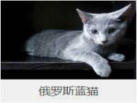 北京万梧科技有限公司