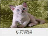 北京万梧科技有限公司