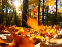 北京万梧科技有限公司