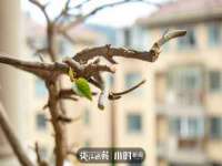 北京万梧科技有限公司
