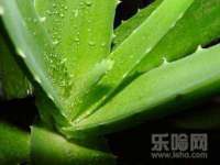北京万梧科技有限公司