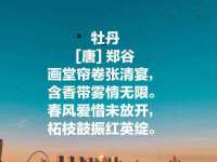 北京万梧科技有限公司