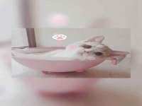 北京万梧科技有限公司
