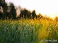 北京万梧科技有限公司