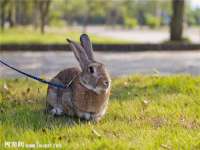 北京万梧科技有限公司