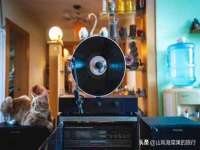 北京万梧科技有限公司