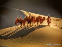 北京万梧科技有限公司