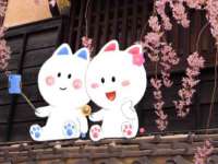 北京万梧科技有限公司