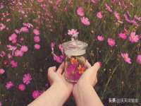 北京万梧科技有限公司