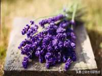 北京万梧科技有限公司