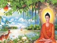 北京万梧科技有限公司